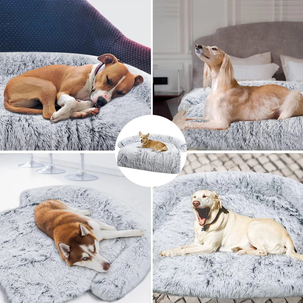 SnugglePaws Corduroy Dog Sofa Bed