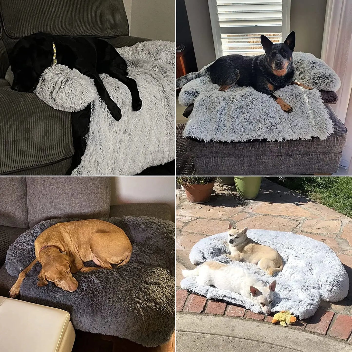 SnugglePaws Corduroy Dog Sofa Bed