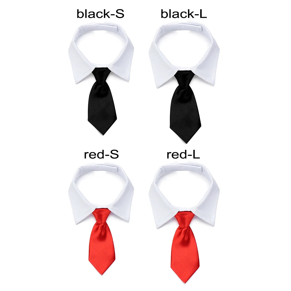 Pawfect BowTie ππΎ