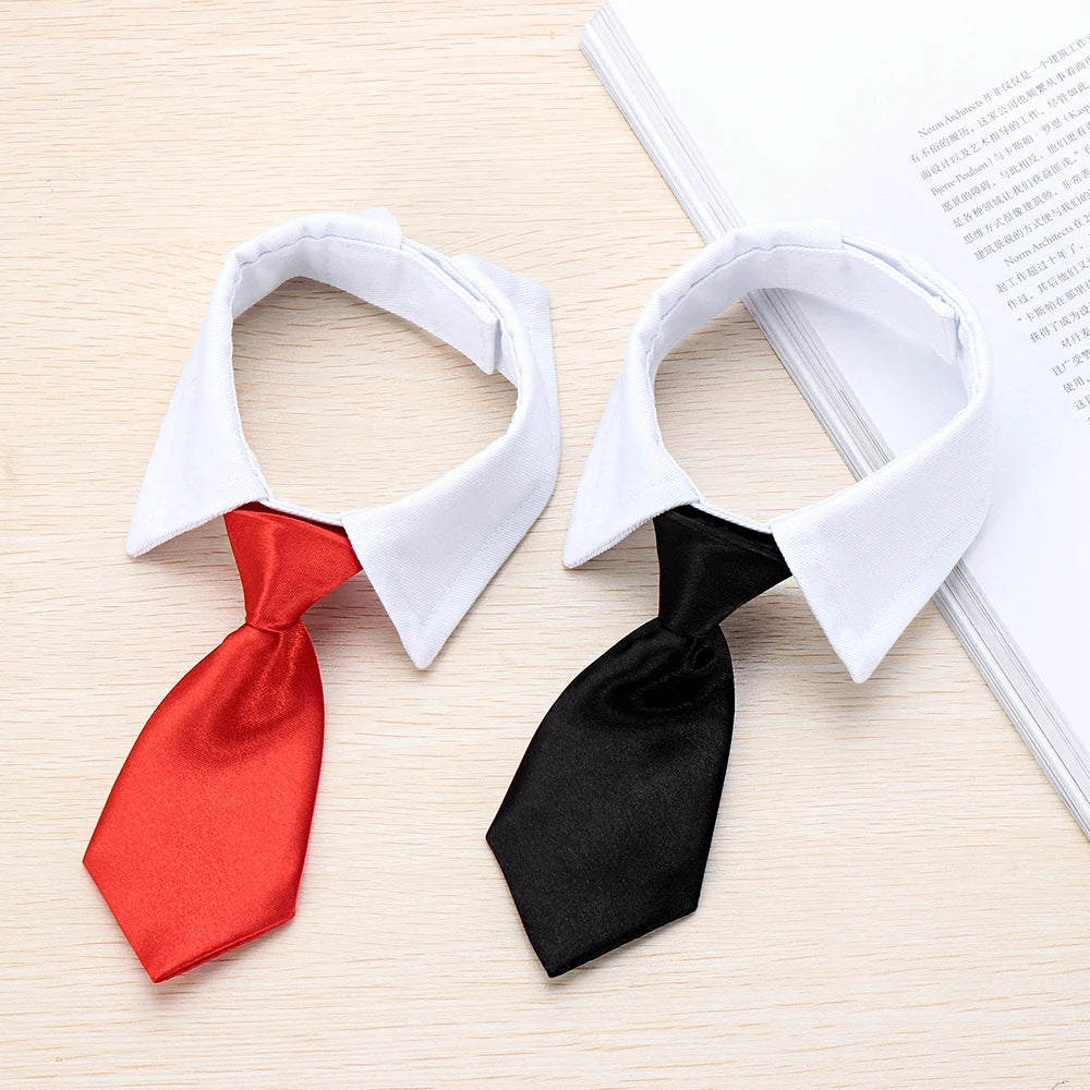 Pawfect BowTie ππΎ