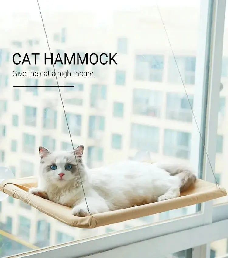 PurrView Hammock