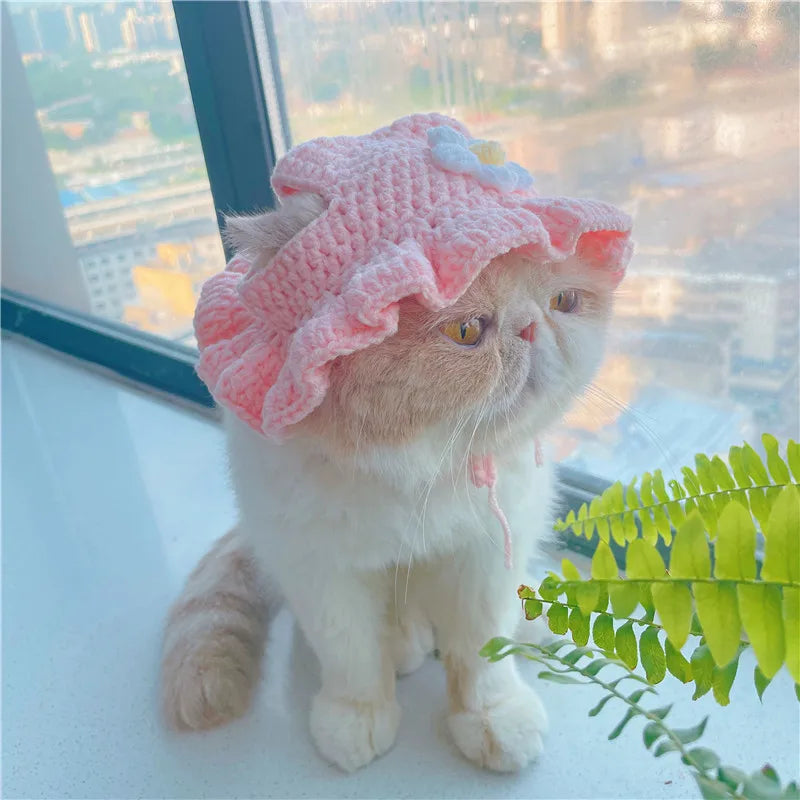 Purrfect Cozy Hat 🐾✨