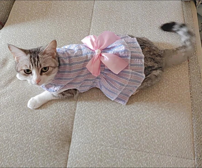 Cat Puppy Princess Dress for Cats Kitten