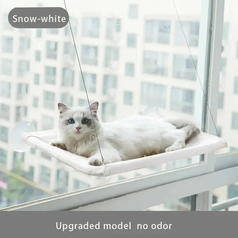 PurrView Hammock