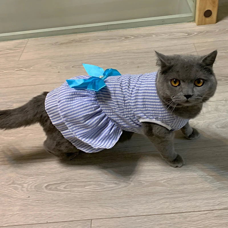 Cat Puppy Princess Dress for Cats Kitten