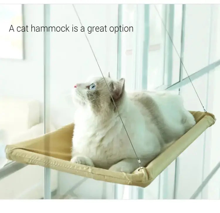 PurrView Hammock