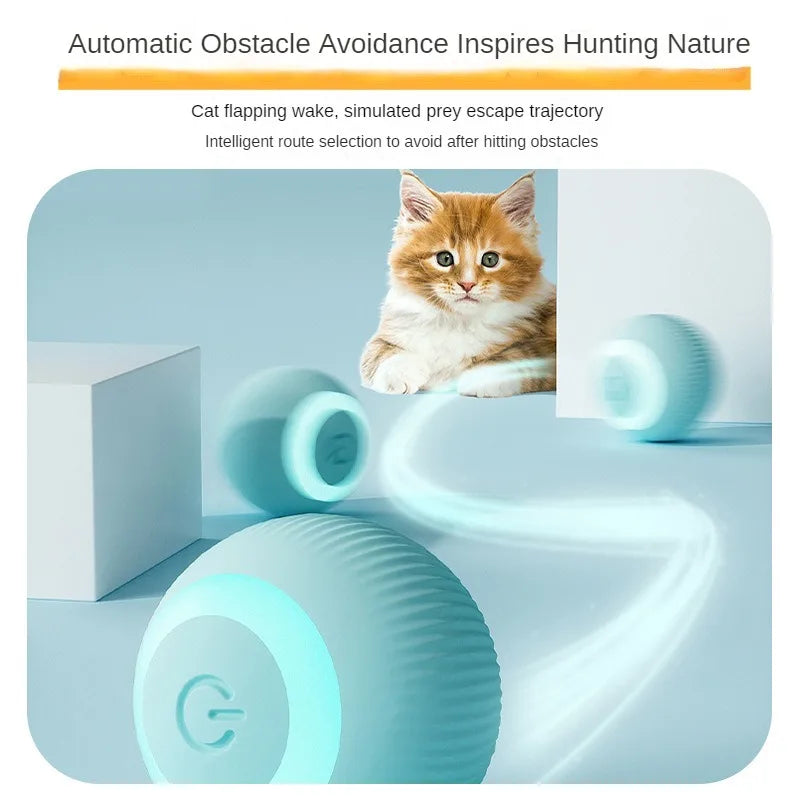 Pet Cat Electric Rolling Ball