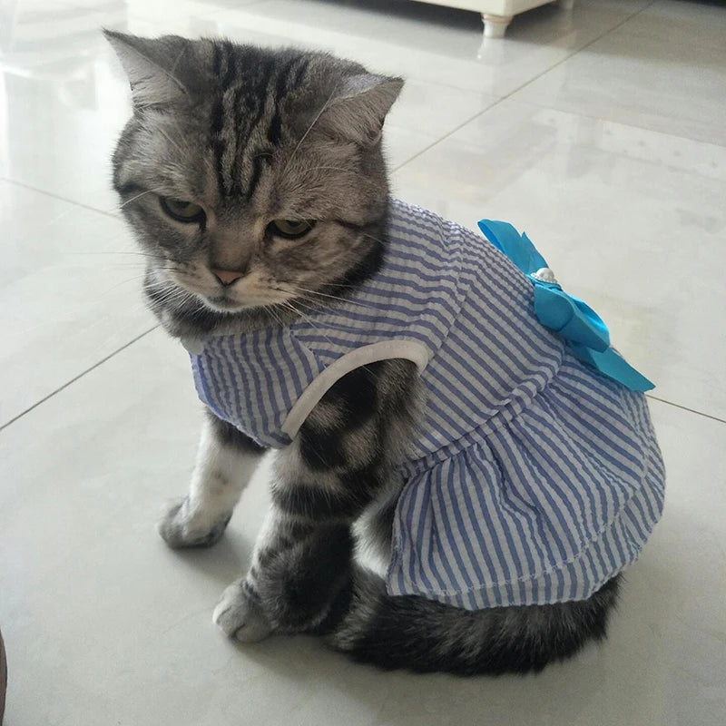 Cat Puppy Princess Dress for Cats Kitten