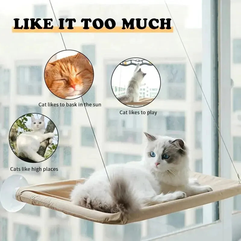 PurrView Hammock