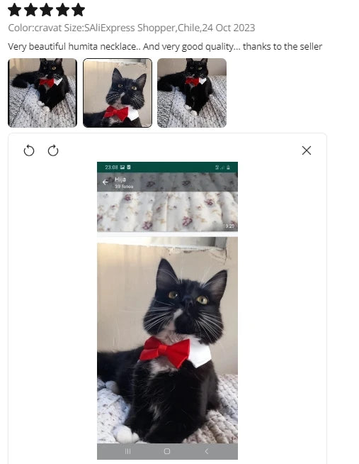 Pawfect BowTie ππΎ