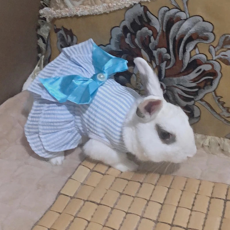 Cat Puppy Princess Dress for Cats Kitten