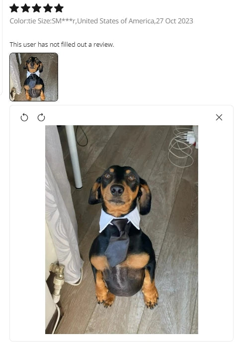 Pawfect BowTie ππΎ