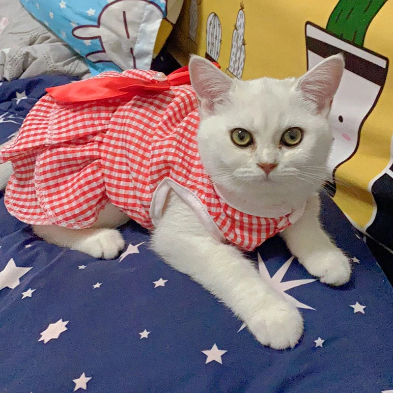 Cat Puppy Princess Dress for Cats Kitten