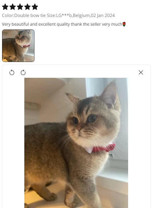 Pawfect BowTie ππΎ