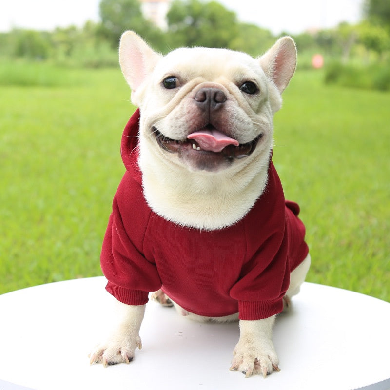 Winter Dog Hoodie – Soft Fleece Jacket for Small and Medium Dogs