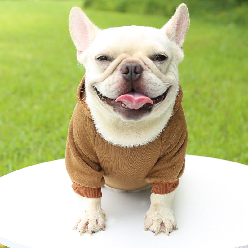 Winter Dog Hoodie – Soft Fleece Jacket for Small and Medium Dogs