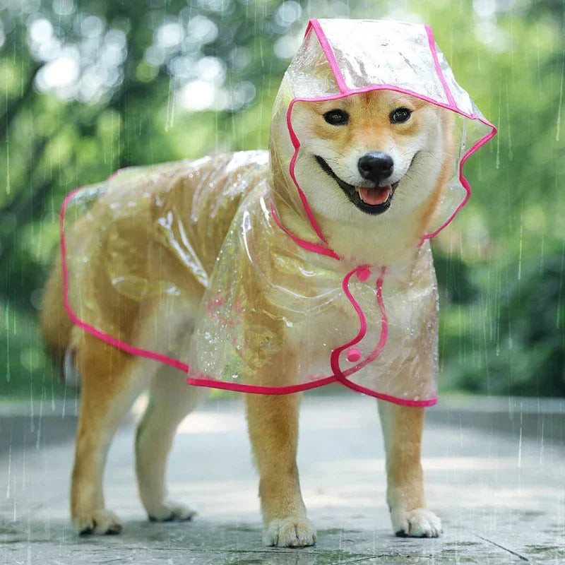 Pet