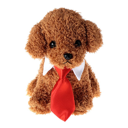Pawfect BowTie 🎀🐾