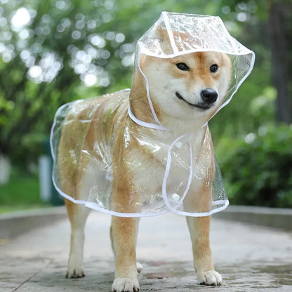 Pet Dog Puppy Transparent Rainwear Raincoat Pet