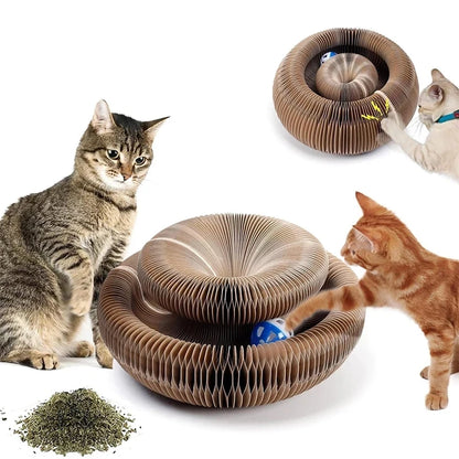 Magic Cat Scratcher Board with Ball – Fun &amp; Relaxing Toy for Cats
