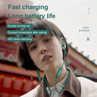 New Lenovo SH1 Wireless Earphone Bluetooth 5.0 Chip HIFI Sound Quality