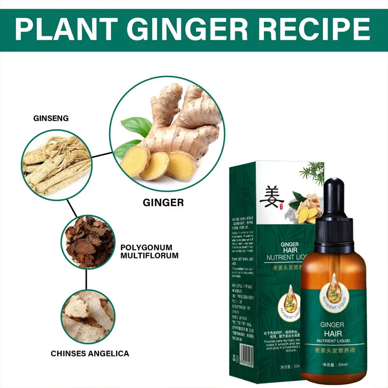 Ginger Growth Hair Oil Anti Hair Loss Fast Hair Growth Serum