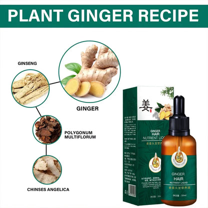 Ginger Growth Hair Oil Anti Hair Loss Fast Hair Growth Serum