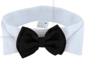 Pawfect BowTie 🎀🐾