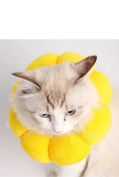 Pets Cats After Surgery Wound Protective Collar Cotton Soft Adjustable Elizabeth Collar Prevent Licking Of Hair Sunflower Collar