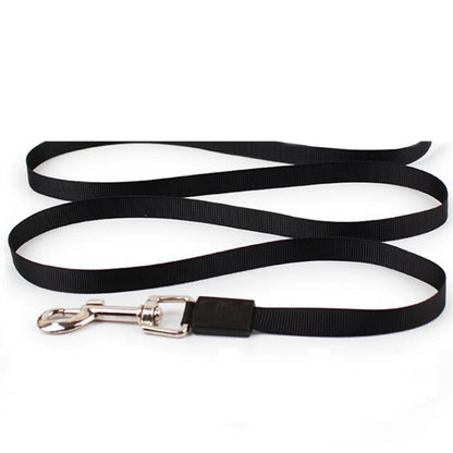 Retractable Dog Leash For Small Medium Large Dogs Cats Outdoor Walking Puppy Strong Nylon Durable Rope Chihuahua Pet Supplies