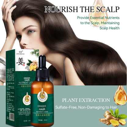 Ginger Growth Hair Oil Anti Hair Loss Fast Hair Growth Serum