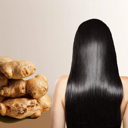 Ginger Growth Hair Oil Anti Hair Loss Fast Hair Growth Serum
