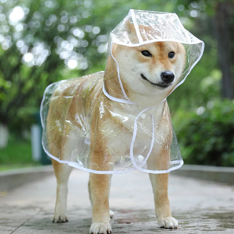 Pet Dog Puppy Transparent Rainwear Raincoat Pet