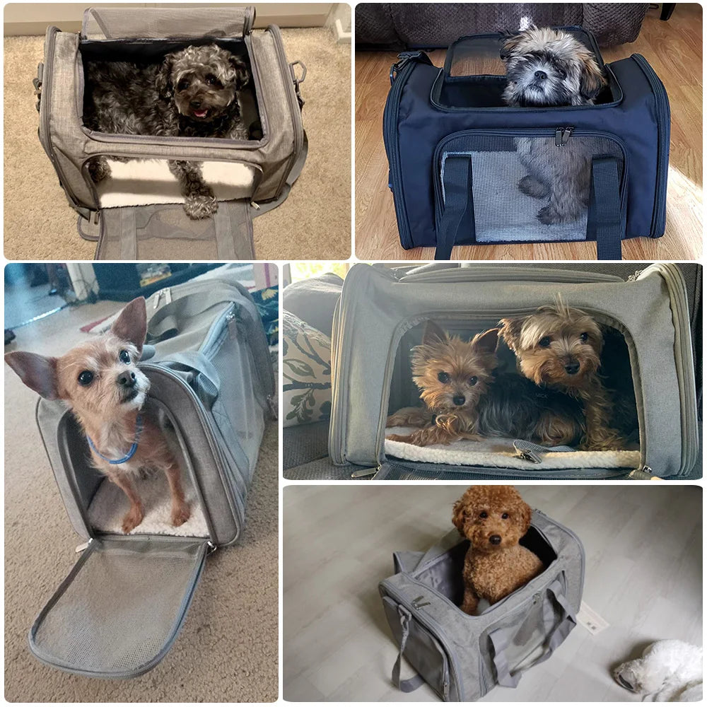 PawVoyage Cat Pet Carriers Dog Travel Bags Airline Transport For Small Dogs Cats Outgoing