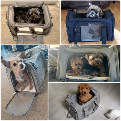 PawVoyage Cat Pet Carriers Dog Travel Bags Airline Transport For Small Dogs Cats Outgoing