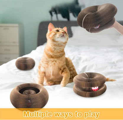 Magic Cat Scratcher Board with Ball – Fun &amp; Relaxing Toy for Cats