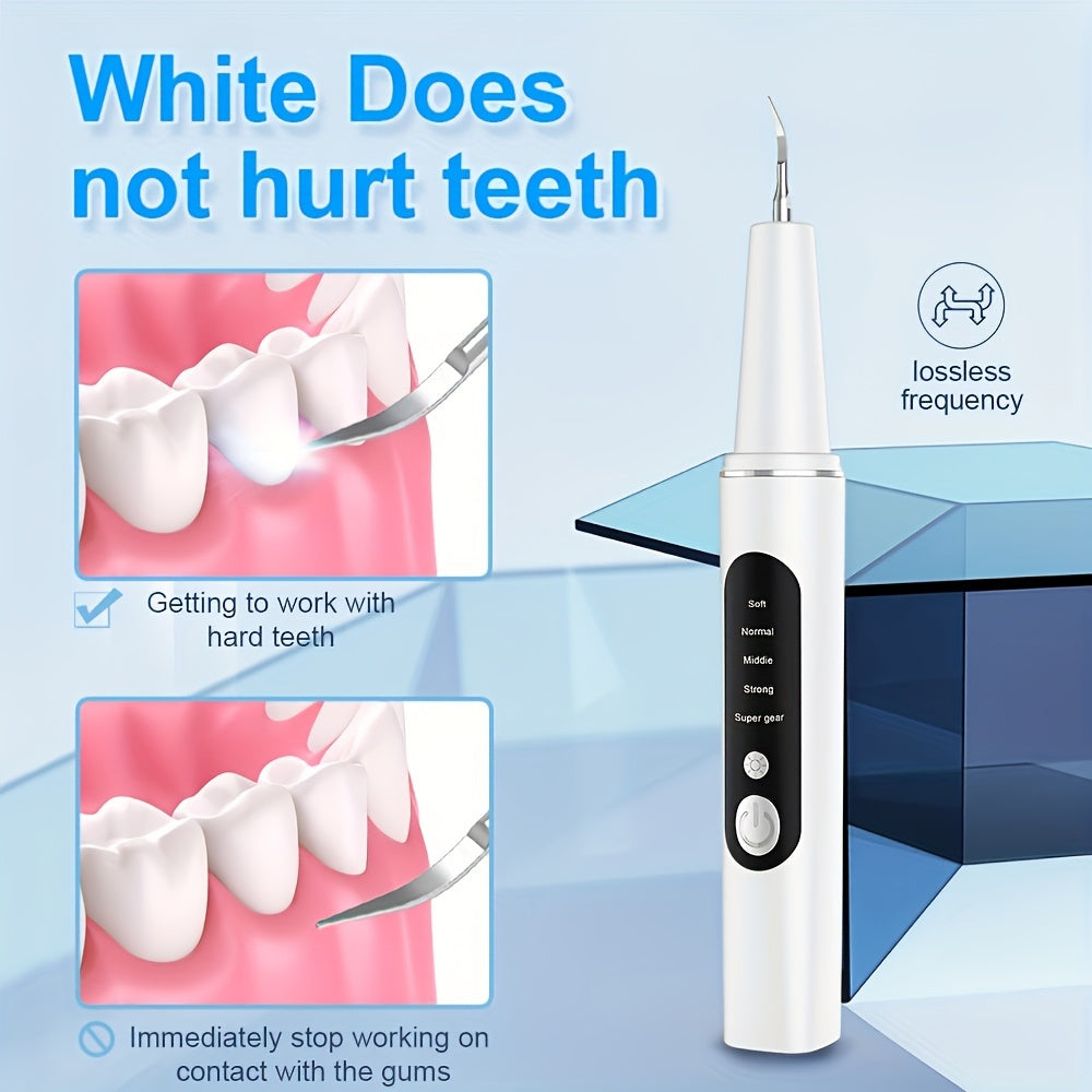 ProClean Tartar Remover Kit - Power Dental Flossers with 5-Level Adjustable LED Light, 4 Replaceable Heads, and Advanced Dental Calculus Removal for Improved Oral Health and Fresh Breath