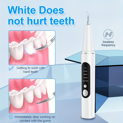 ProClean Tartar Remover Kit - Power Dental Flossers with 5-Level Adjustable LED Light, 4 Replaceable Heads, and Advanced Dental Calculus Removal for Improved Oral Health and Fresh Breath
